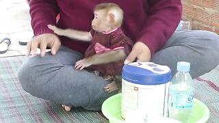 Little Bom's Soundly Sit Watch Mom Mixing Milk For Her This Morning