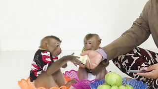 So Funny Two Adorable Sit In Basket Wait Mom Feed Snack For Dinner