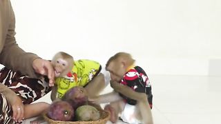 Two Sibling Milly & Miltt Mannerly Sits Wait Mom Finish Cut Sour Mangoes