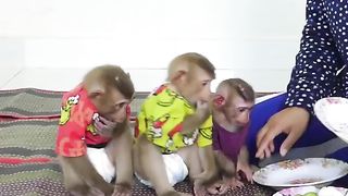 Bom's Milly & Miltt délicat mangeant un petit déjeuner spécial ensemble