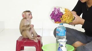 Curiously Bom's Very Wonder Looking Mom Preparing Flower Put In Vase