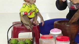 Clever Little Bom's Mannerly Sits On Chair Watch Mom Mix Salt For Eat With Sour Mangoes