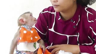 Smart Little Bom's Delicious Eating Cake Mom Feeding Her Before Sleep