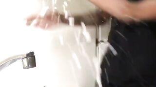 Cats Doing Funny Things Tiktok | Cute Kittens Tiktok Compilation ????