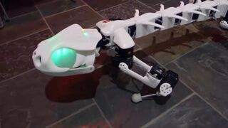 Imazing robot . Imazing inovation