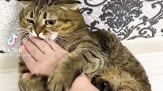 Coshka