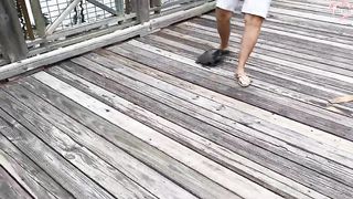 Unexpected ANIMALS Attack on Humans - Funny Animals Moments