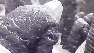 Snow at prayer
