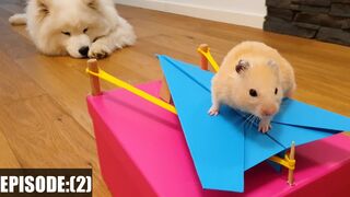 NEVER TRUST your pet HAMSTER when it's. hungry! ( Ep 2)