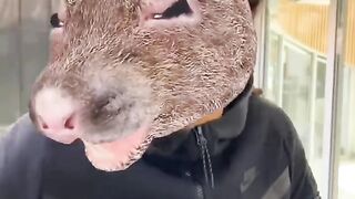 le rat du futur