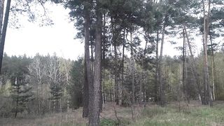 Живое дыхание весны.