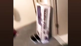 Bro the cat