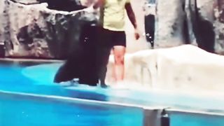 Funny videos 77
