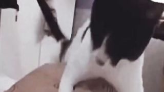 New Funny videos of 2023