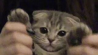 Cute ???? ????