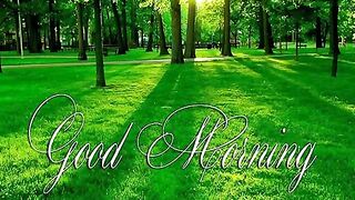 aslamic vedio in 1 day subscribe 1000