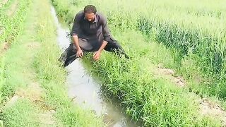 Boy drop in water