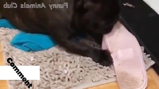 Best funny clips #short