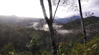 timelife beautiful morning