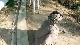 Donkey run