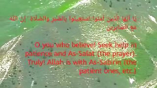 إِنَّ اللَّهَ مَعَ الصَّابِرِينَ