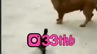 فى العيد