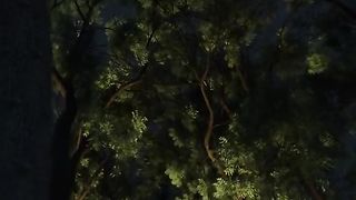 Night view 3
