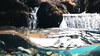 Nature 39