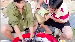 Video play