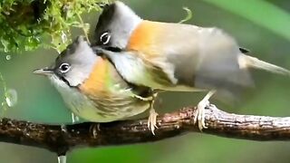 Top View Nature 18