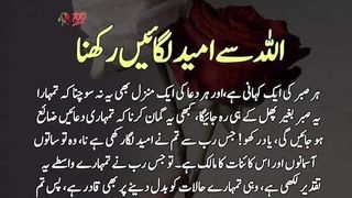 urdu Quotes best urdu Quotes