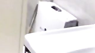 Funniest Animals Videos 2
