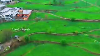 Please support me 2