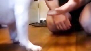 New One Funny animals - Funny / dogs - Funny videos Bast25