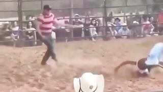 funny video 72