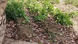 Summer season video