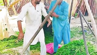 Pakistani desi jhumar # best dance new clip 2023