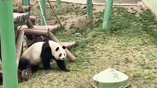 funny clip 7