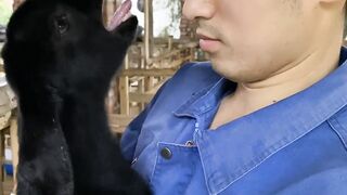 Funny clip 41