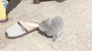 Funny clip 40