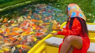 Beautiful fish water