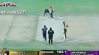Cricket 22