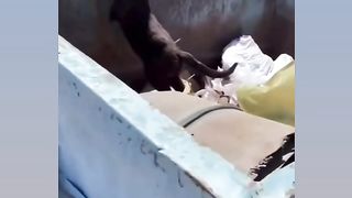 #funny 5
