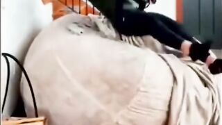Animals Being Funny
