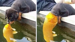 Funniest Moments of the Year Compilation part 1