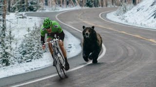 Funniest Moments of the Year Compilation