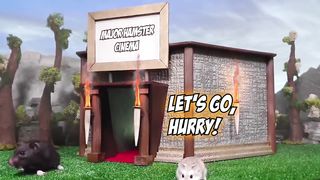 Top 5 TREASURE HUNT stories with real life pet HAMSTERS