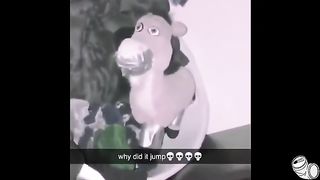 TRY TO NOT LAUGH