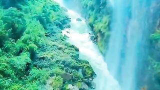Nature and beauty ????????????