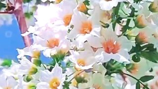 Nature and beauty ???????????? 5